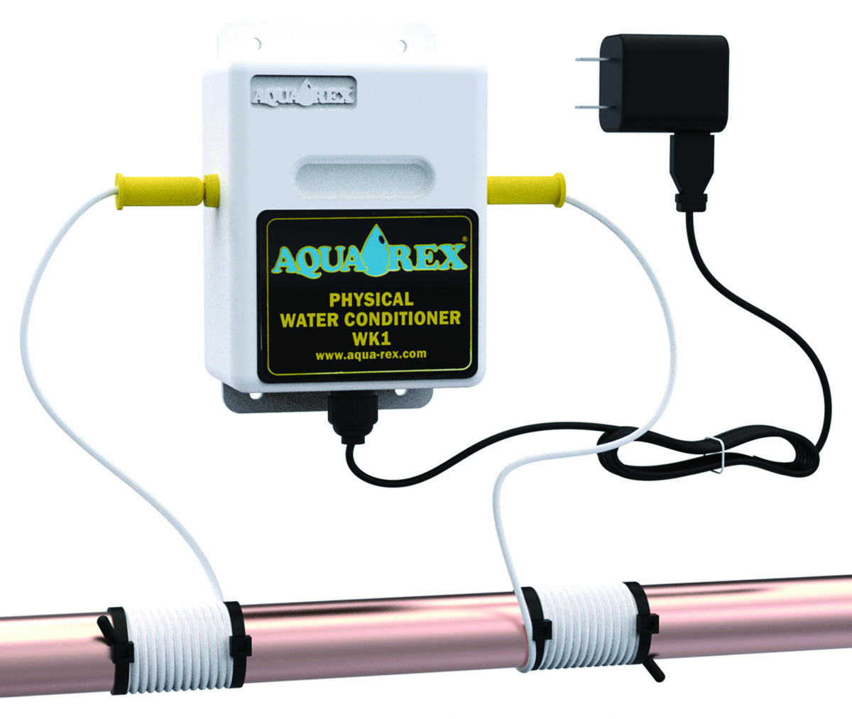 Aqua Rex