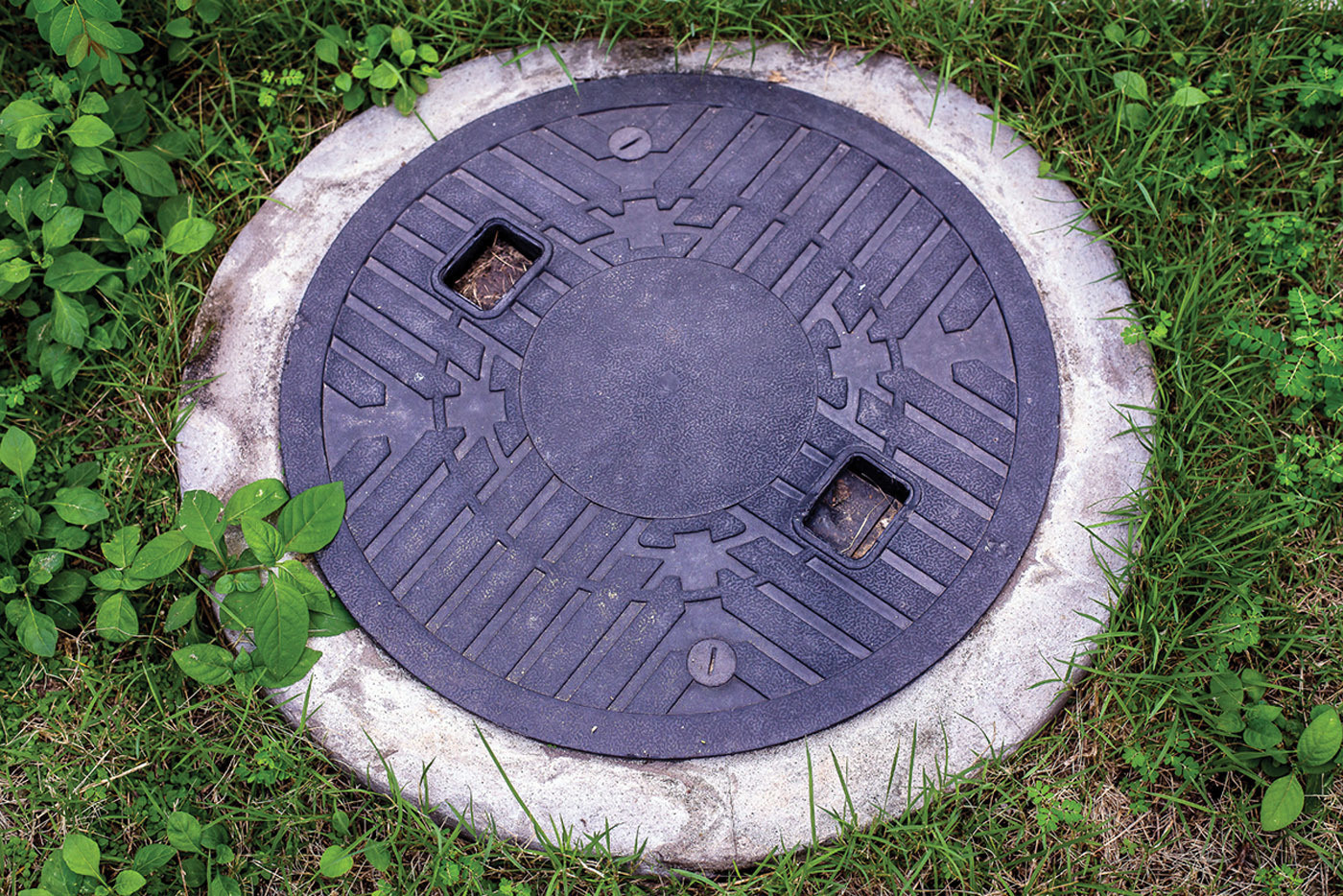 Drainfield/Septic Treatment - Bionetix International Eco-Sept