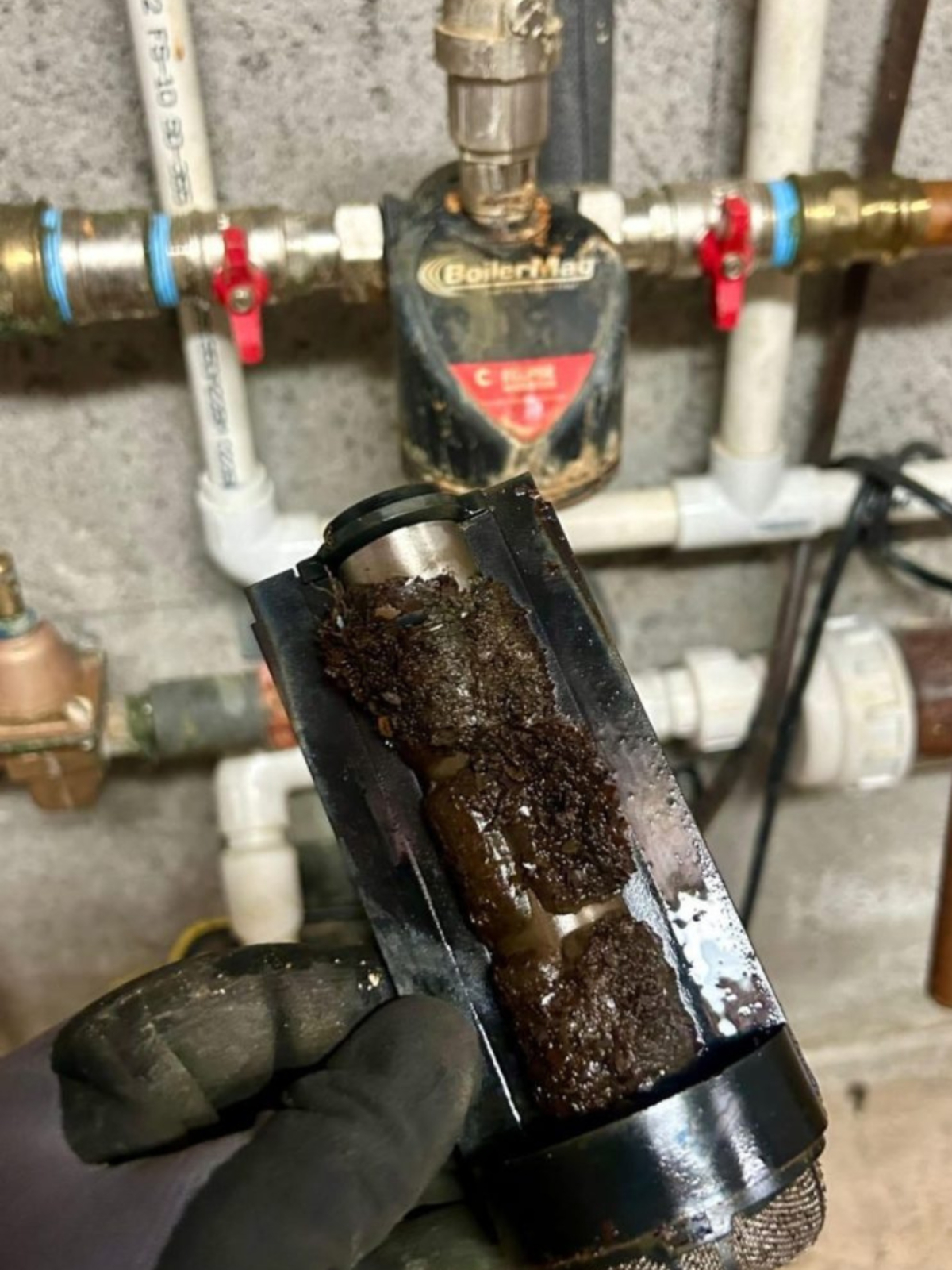 Boilermag case study 1