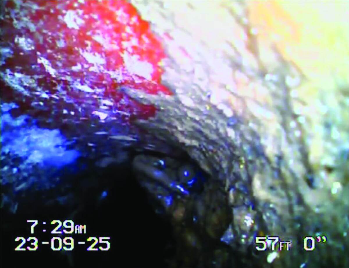 Fiberscope net case study 260129 124646
