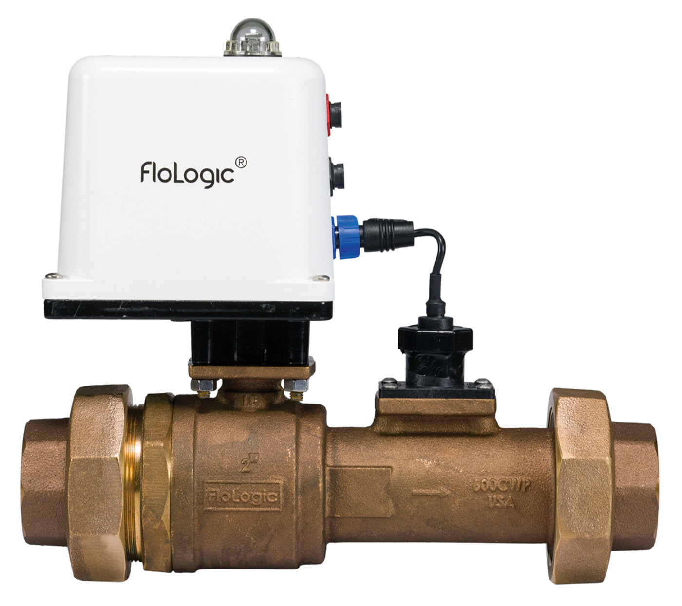 Electronic Leak Detection - FloLogic 2-Inch System