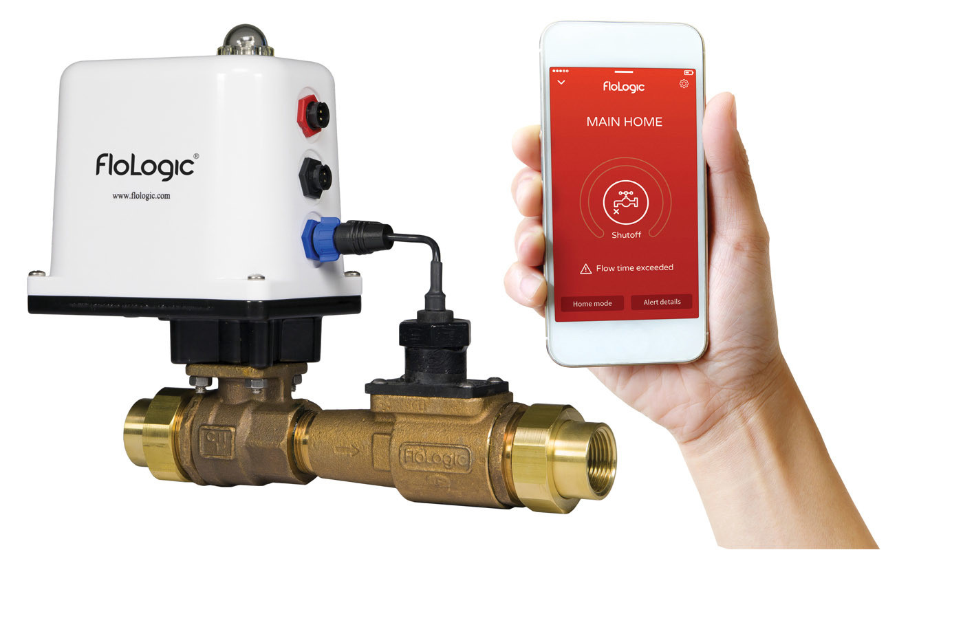 A Pioneering Take  on Flow-Based  Leak Detection