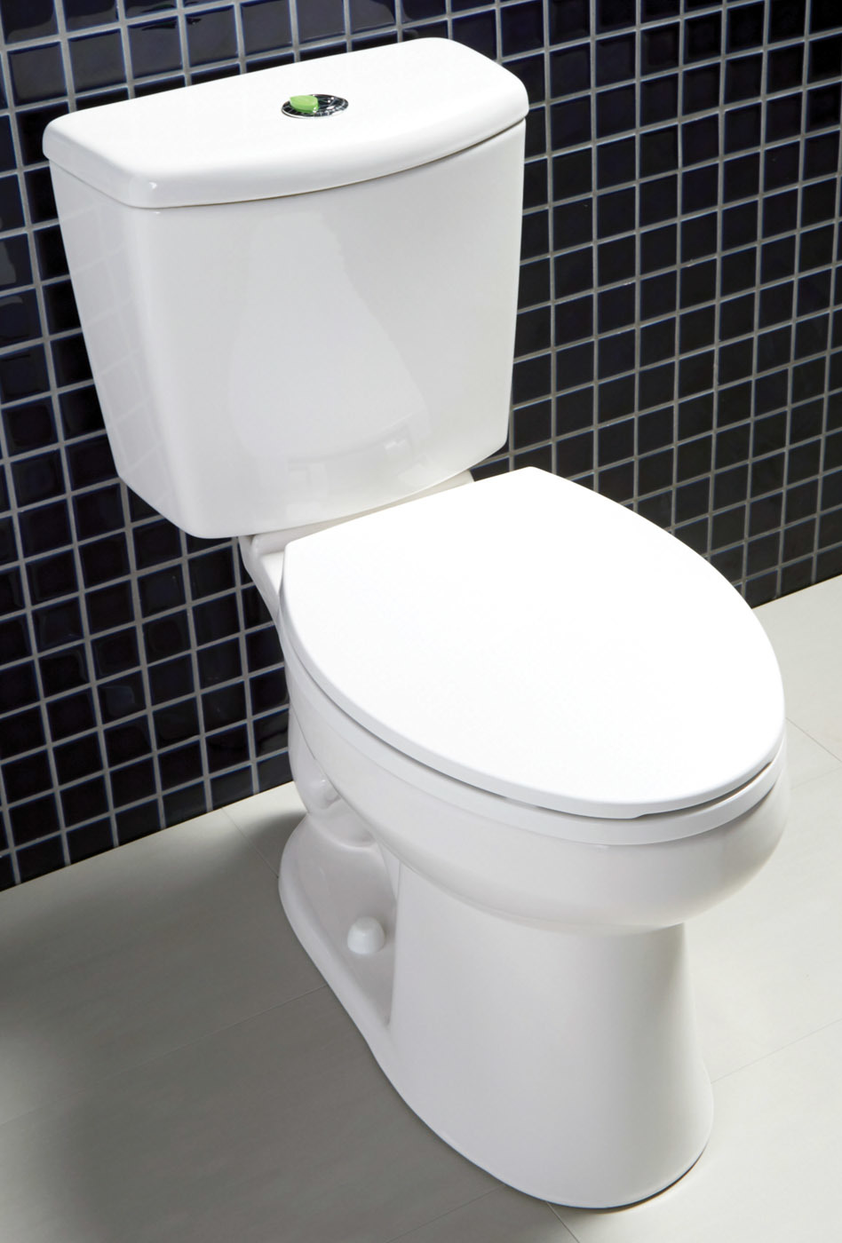 Niagara conservation nano dual flush elongated toilet