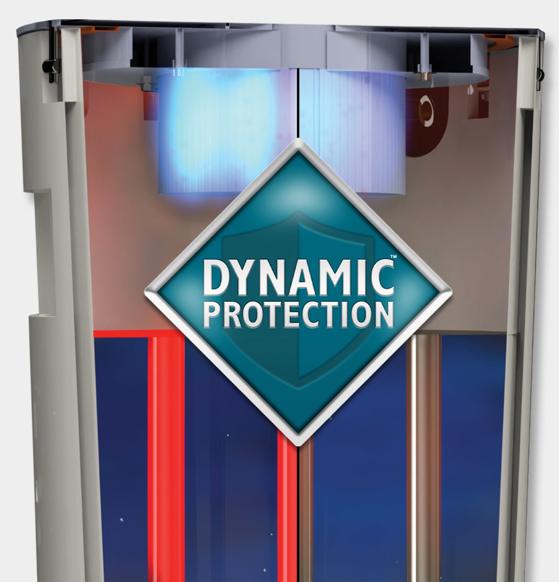 Raypak dynamic protection