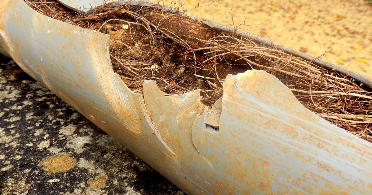 Chemical Root Control in Sewer Pipes: How Foaming… | Plumber