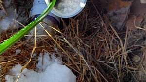 Frozen pipe