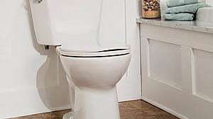 Mansfield Denali Small