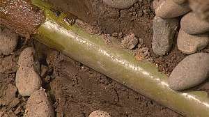 Rooter rite pipe gas line 180216 140738