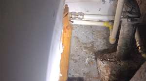 Sharkbite case study 241120 085912