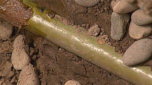 Rooter rite pipe gas line 180216 140738