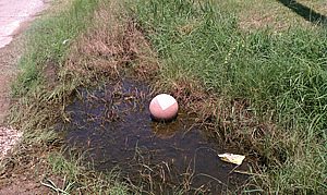 Poor People,&nbsp; Poor Soil, Poor Sanitation