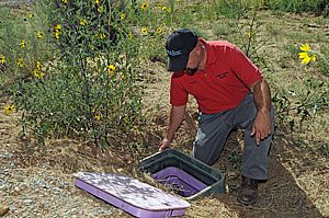 Watered with Knowledge