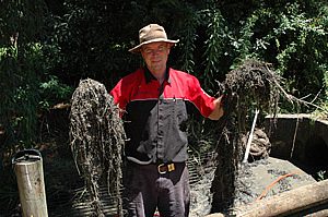 The Pressure to Succeed