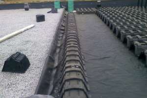 Horseplay: Middle-of-Nowhere Job Site Causes Headaches