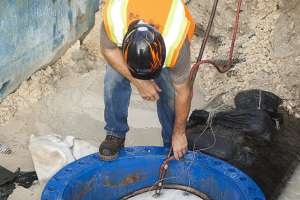 Born from Opportunity