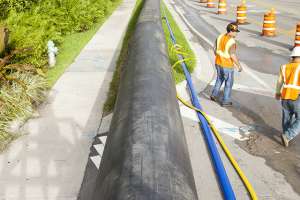 Born from Opportunity