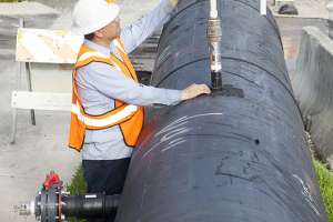 Born from Opportunity