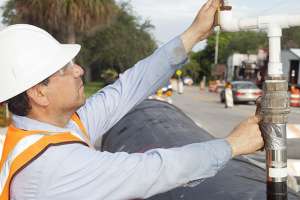 Born from Opportunity