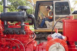 Born from Opportunity