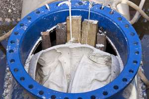 Born from Opportunity