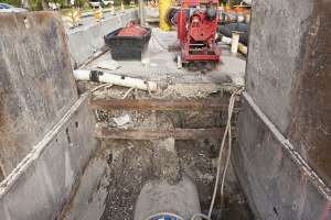 Born from Opportunity