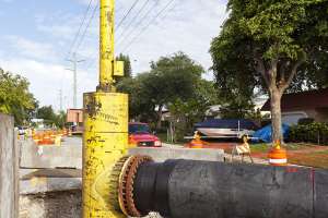 Born from Opportunity