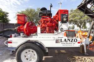 Born from Opportunity