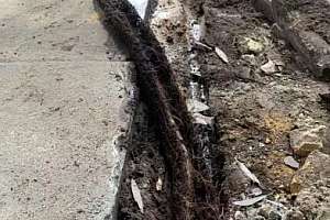 Screen Shot 2021 02 23 At 3 41 56 Pm