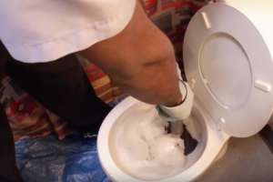 Screen Shot 2020 03 24 At 7 45 11 Am