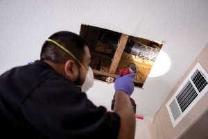 Plumbing Firm Develops Strong Relationship With Customers