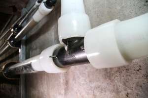 Afton Lakeland Elem MN PEX Repipe 040 copy