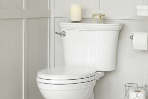 American standard heritage vormax low res 180216 140858