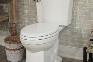 Focus: Faucets and Fixtures