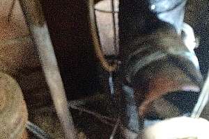 Texas Plumber Smokes Out Foul Odors