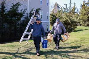 Beier agentis 34 250308 082749