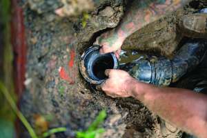 Philadelphia Company Experiences Strong Growth Thanks to Diverse Service Offerings