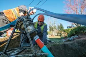 Growing Through Customer Satisfaction and Knowledge