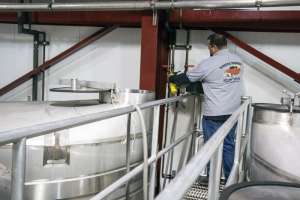 Caring for the Customer