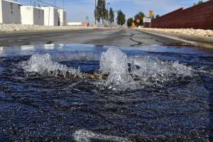 C1112 Photos Tech Perspective