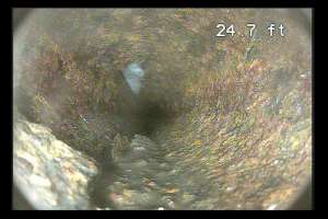 Camera an essential tool