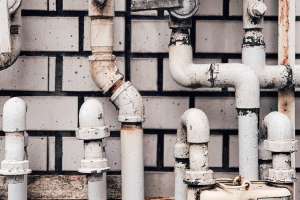 Charlota blunarova o By Y Sqy E Tho unsplash