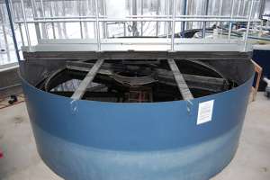 Yes, We Have Bananas!