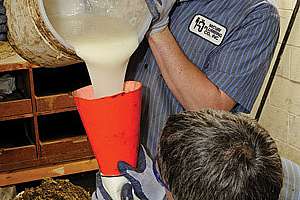 No Dig: Plumber Learns the Power of Trenchless Technology