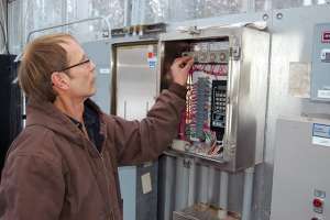 Yes, We Have Bananas!