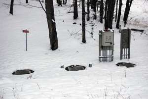 Yes, We Have Bananas!