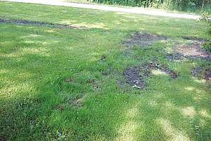 Operational Testing  for Onsite Systems