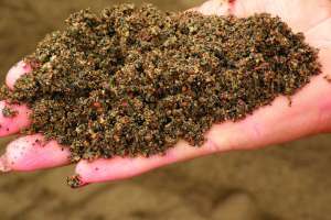 Reading the Soil