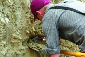 Reading the Soil