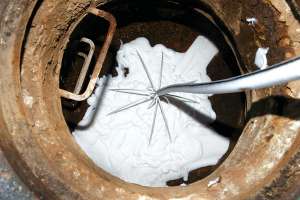 Duke Ys root control case study