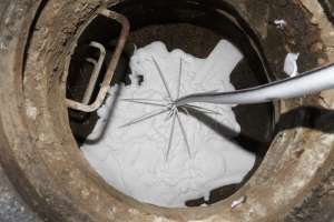 Focus: Pipeline Rehabilitation and Repair — Pipe, Fittings & Rehabilitation